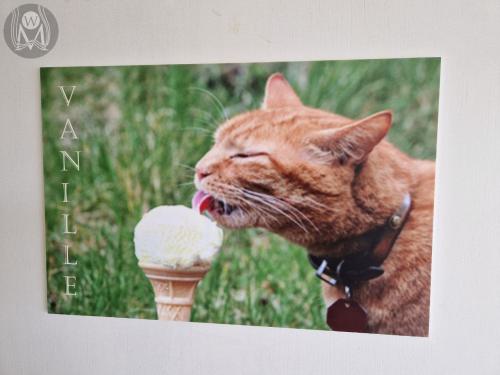 apartment-vanille-tuerschild